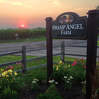 Swamp Angel Farm