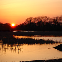 Swamp Angel Farm