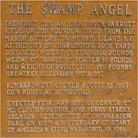 Swamp Angel Farm